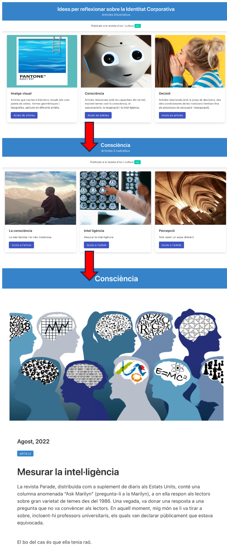 Imatge circuit articles